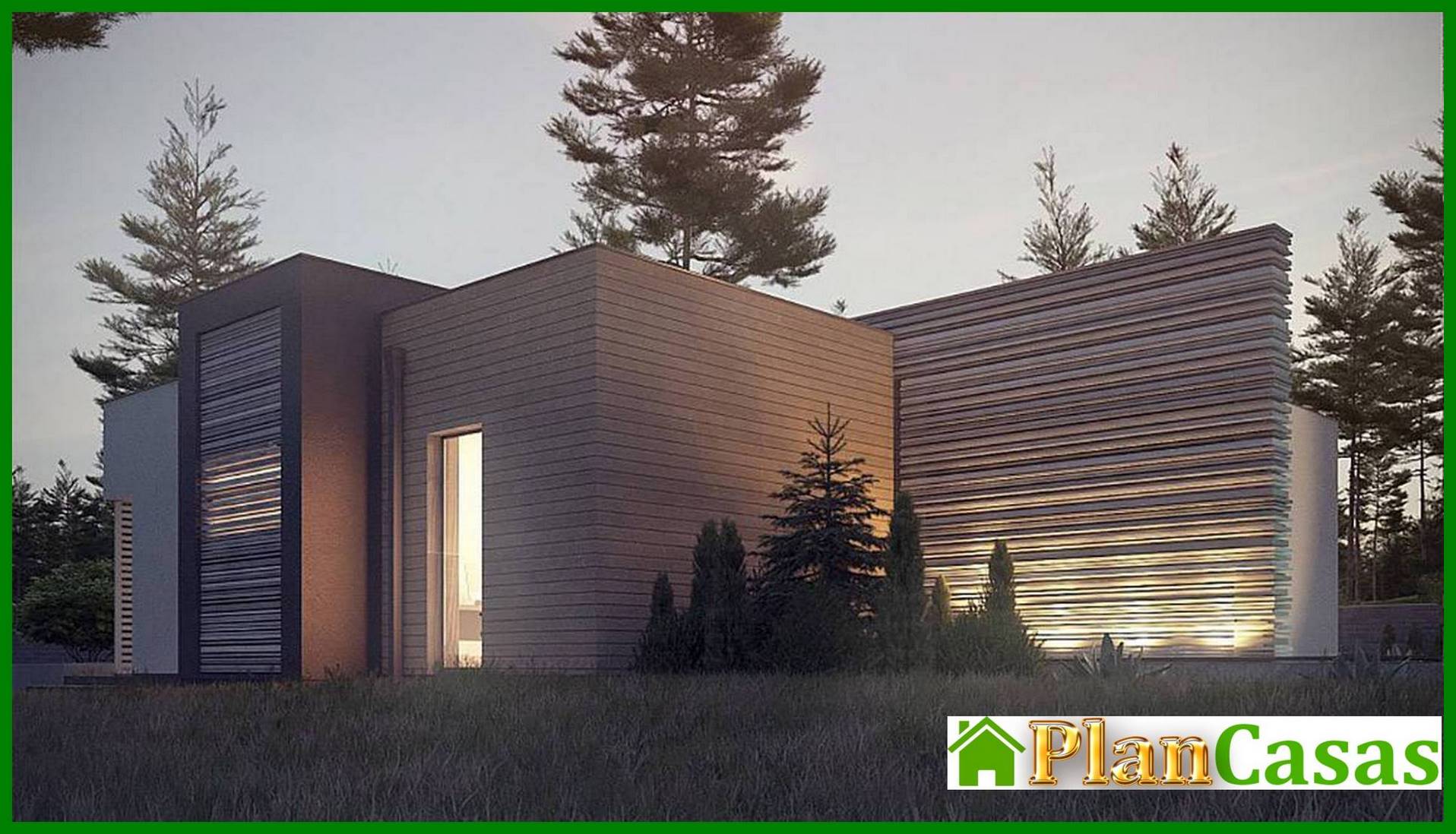 Visualization gallery - One-story modern mansion for a narrow plot