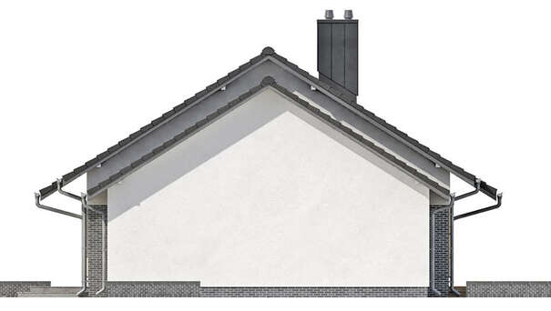 Visualization gallery - The project of a one-story cottage with a garage for two cars