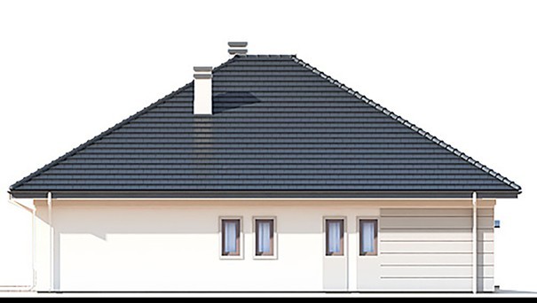 Visualization gallery - One-storey house with an open spacious terrace