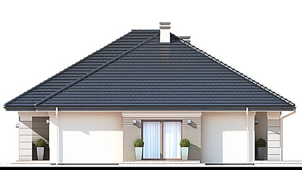 Visualization gallery - One-storey house with an open spacious terrace