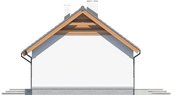 Visualization gallery - One-storey house with a living area of 100 squares