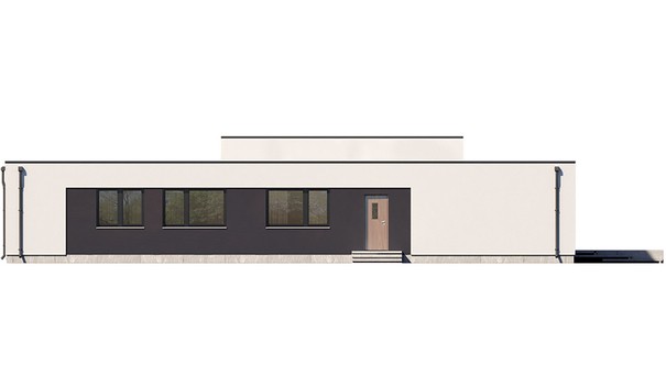 Visualization gallery - Modern one-story snow-white cottage