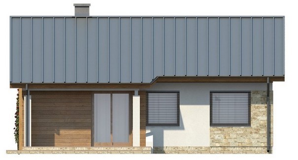 Visualization gallery - The project of a small one-story cottage